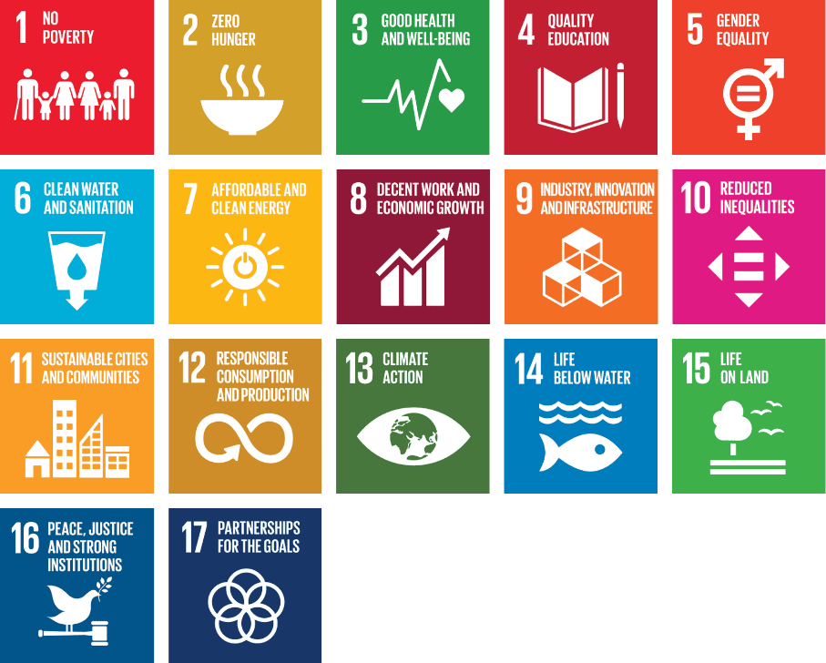17 Sustainable Development Goals