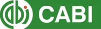 Leisure Tourism Database